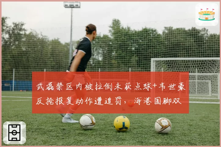武磊禁区内被拉倒未获点球+韦世豪反抢报复动作遭追罚,海港国脚双标待遇引爆舆论__br_