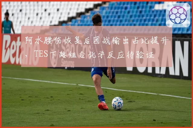 阿水腰伤恢复后团战输出占比提升，TES下路组合化学反应待验证